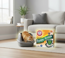 arm-catlitter