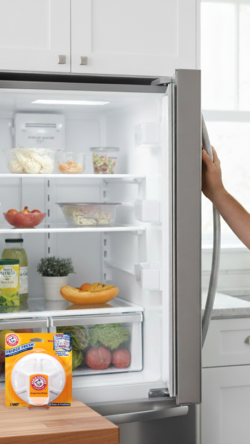 arm-fridge